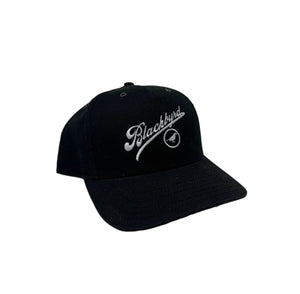 Script Logo 6-Panel Hat